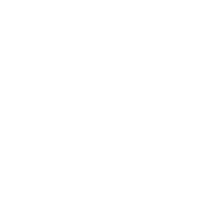 RCEDC Ideas Into Action 2022